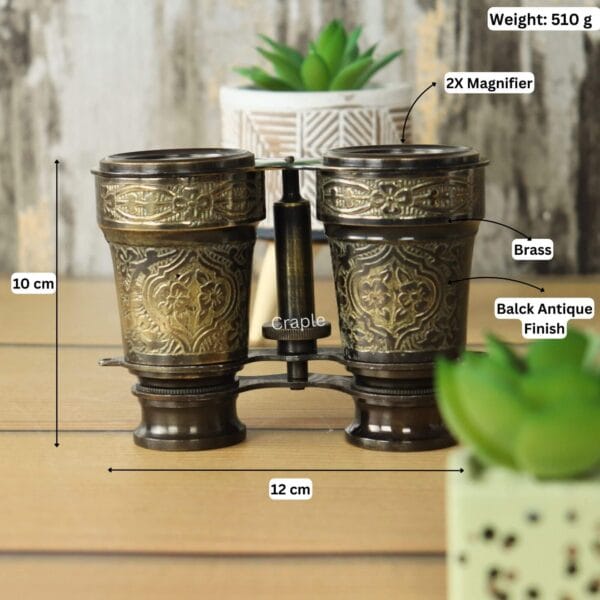 Product image showing the dimensions of the engraved binoculars: 12 cm width, 10 cm height, 510g weight, with 2X magnifier.