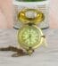 Victoria Marine Watch
