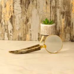 Magnifier
