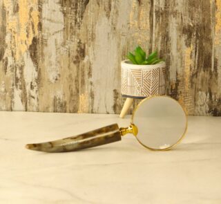 Magnifier