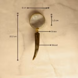 Horn Shaped Handle Magnifier | Shiny Brass, Clear Lens | Rustic Reading Aid & Desk Gift - Image 4