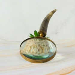 Curved Horn Handle Magnifier | Shiny Brass, Clear Lens | Rustic Reading Aid & Elegant Desk Gift - Image 5