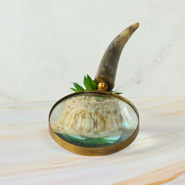 Curved Horn Handle Magnifier | Shiny Brass, Clear Lens | Rustic Reading Aid & Elegant Desk Gift - Image 5