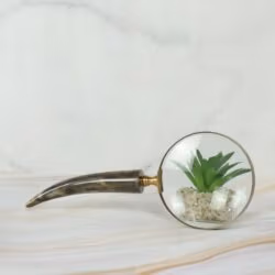 Admiring Vintage Brass Magnifier