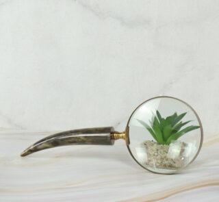 Admiring Vintage Brass Magnifier
