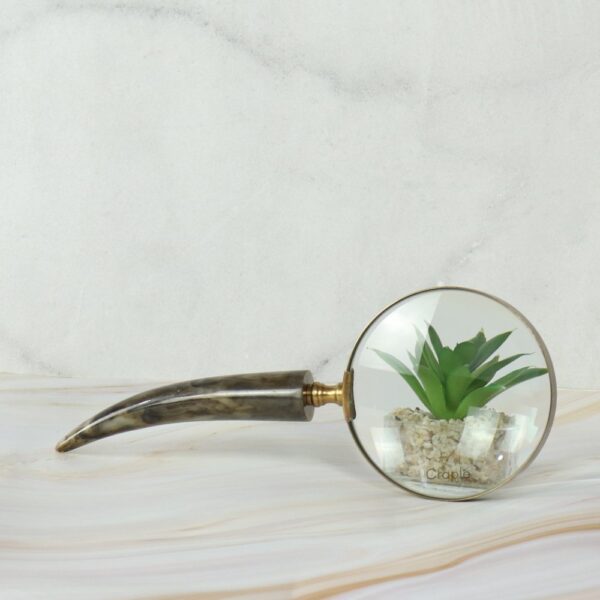 Admiring Vintage Brass Magnifier