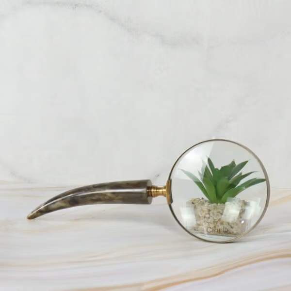 Admiring Vintage Brass Magnifier