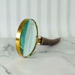 Carved Feather Handle Brass Magnifier | Shiny Finish, Clear Lens | Elegant Reading Tool & Nature Decor Gift - Image 2