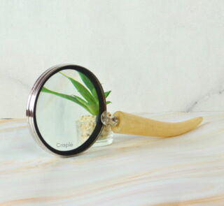 handheld magnifying glass