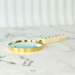 Mother of Pearl Decorated Magnifying Glass