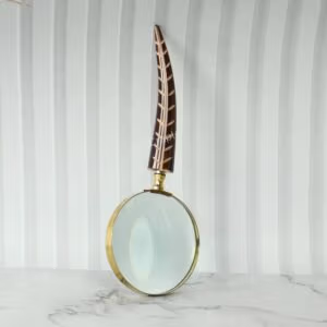 A decorative brass magnifying glass standing upright, showcasing its large 5X lens and an elegant, dark brown carved feather handle.