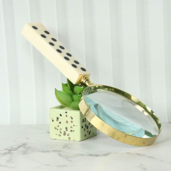 The domino-handled brass magnifying glass displayed as a decorative object, leaning against a small succulent.