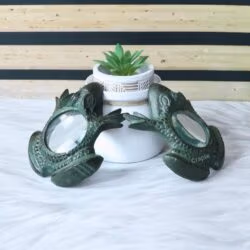 Two brass frog magnifiers displayed as decorative pieces with a small potted succulent in the background.