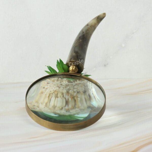 Close-up of the 5X lens of a brass magnifying glass showing magnification of a natural sea sponge, with a real horn handle.