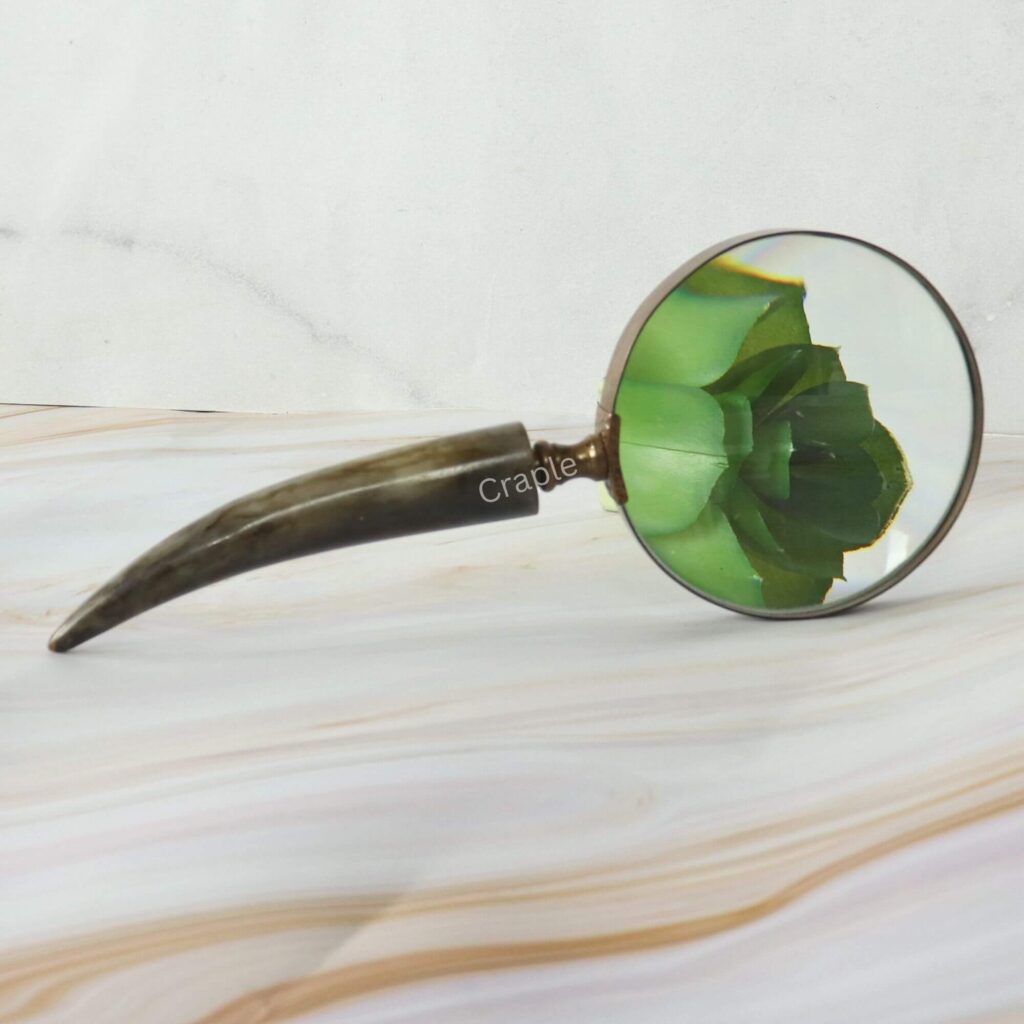 Decorative magnifying glass with a real horn handle and brass frame, shown magnifying a small succulent plant.