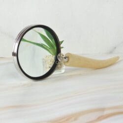 Horn Style Handle Magnifier | Nickel Finish Brass, Clear Lens | Rustic Modern Reading Aid & Gift