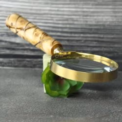 The handheld magnifier being used to enlarge the details of a small green succulent plant.