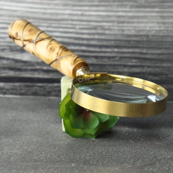 The handheld magnifier being used to enlarge the details of a small green succulent plant.