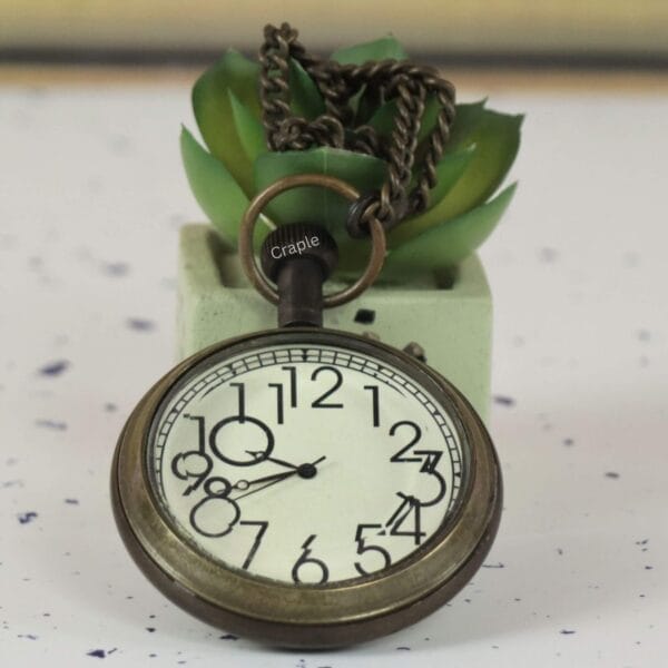 Quirky numeral antique pocket watch with its chain, displayed decoratively next to a small succulent.