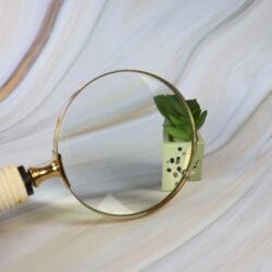 The 5X lens of the brass magnifier enlarging the details of a small green leaf and a decorative die.