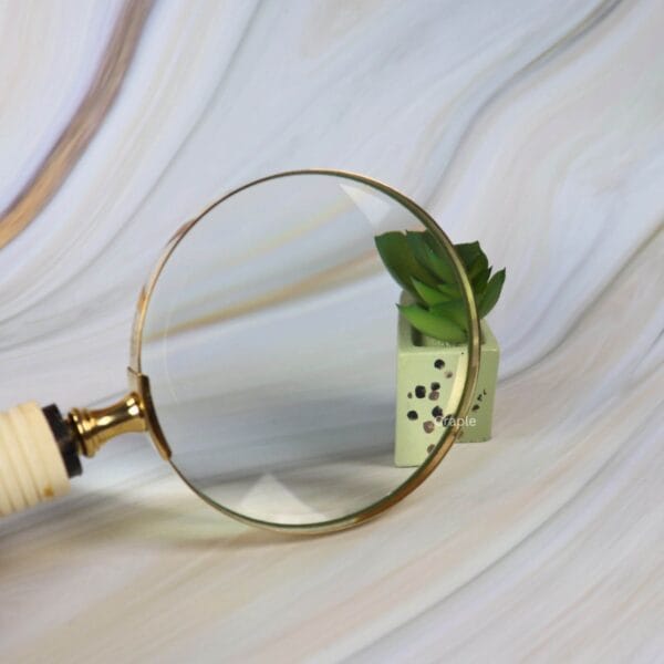 The 5X lens of the brass magnifier enlarging the details of a small green leaf and a decorative die.