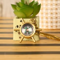 The brass shipwheel compass keychain displayed as a unique nautical accessory next to a small succulent plant.