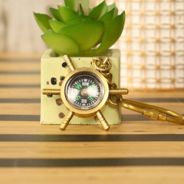 The brass shipwheel compass keychain displayed as a unique nautical accessory next to a small succulent plant.