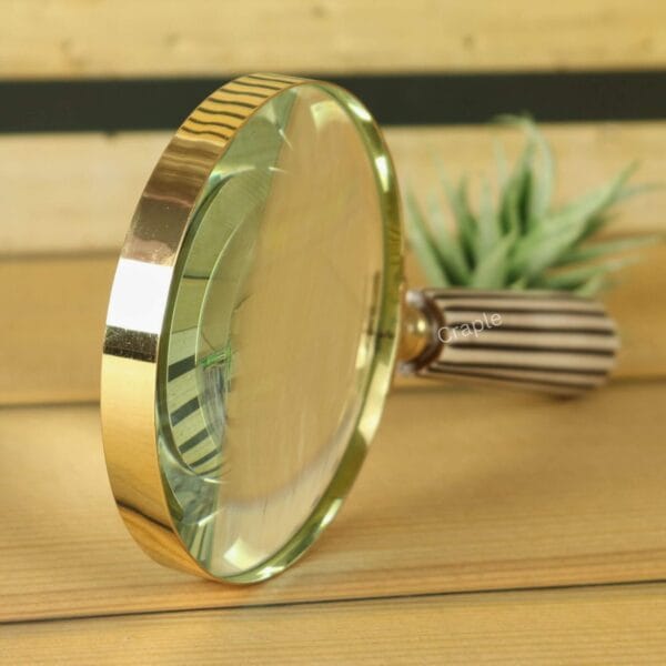 The shiny brass magnifying glass displayed as a sophisticated office accessory next to a small plant.