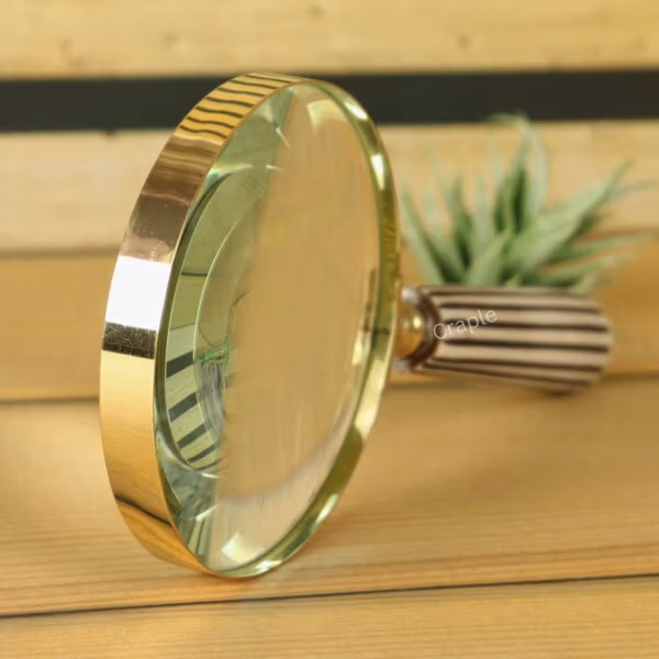 The shiny brass magnifying glass displayed as a sophisticated office accessory next to a small plant.