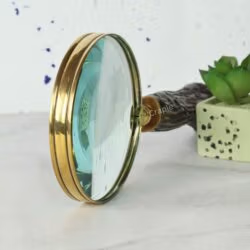 The rustic tree trunk handle magnifying glass used as a stylish desk accessory, propped next to a small succulent.