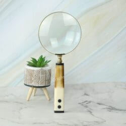 A tall, elegant magnifying glass with a two-tone handle standing upright on a desk next to a small plant.