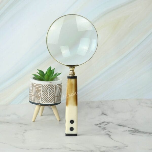 A tall, elegant magnifying glass with a two-tone handle standing upright on a desk next to a small plant.