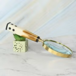A stylish brass magnifying glass with a unique two-tone domino handle, displayed as a decorative accessory against a plant pot.