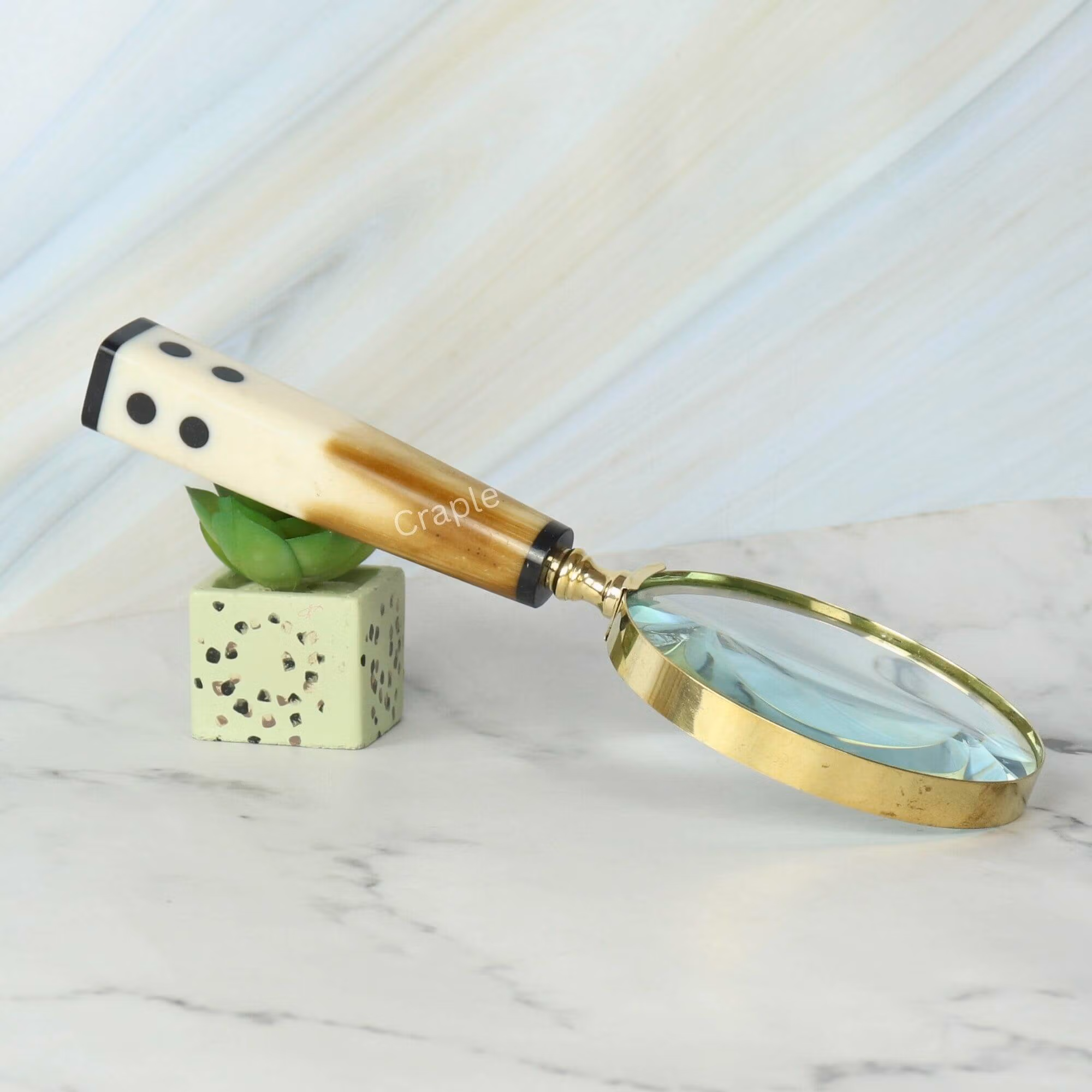 A stylish brass magnifying glass with a unique two-tone domino handle, displayed as a decorative accessory against a plant pot.