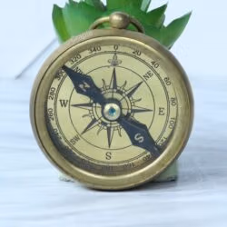Vintage-style "Regal Brand" pocket compass with a polished brass casing and a detailed antique compass rose dial.