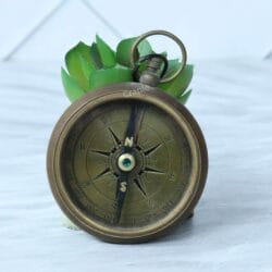 Antique brass open-face pocket compass displayed in front of a succulent, highlighting its vintage charm.