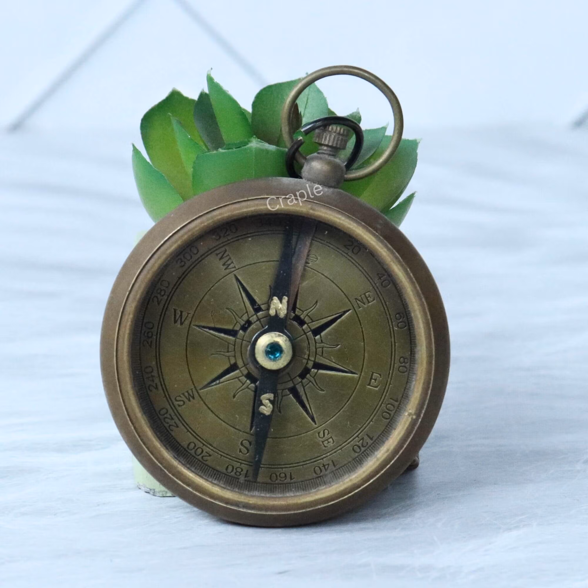 Antique brass open-face pocket compass displayed in front of a succulent, highlighting its vintage charm.