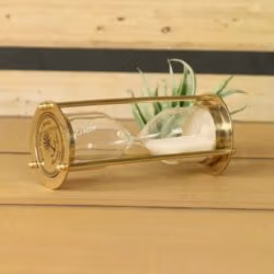 The miniature brass sand timer used as a decorative desktop accessory next to a small succulent plant.
